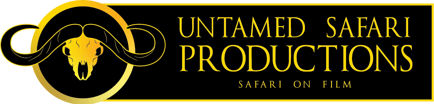 cropped cropped Buffalo logo